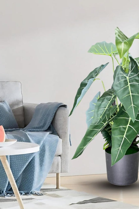 De Gardenia Alocasia Polly Artificial Plant with Pot – 80cm Tall Faux African Mask Plant with Bold Veined Leaves | Indoor Tropical Plant for Home & Office Decor