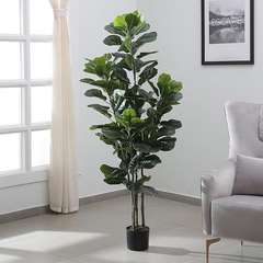 De Gardenia Fiddle Fig X4 – 180 cm Tall Artificial Plant with Pot | Lifelike Faux Indoor & Outdoor Décor
