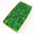  lite green