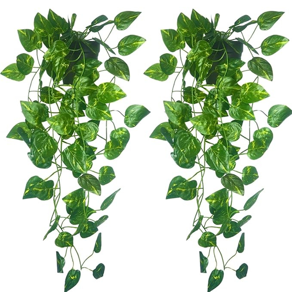 De Gardenia Artificial Hanging Vines – Realistic Willow Leaf Garland for Home & Office Décor | Faux Greenery Ivy for Wall, Balcony, Festive & Event Decoration