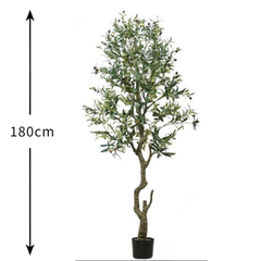 De Gardenia Spiraal Trunk Olive Tree – 180 cm Tall Artificial Plant with Pot | Lifelike Faux Indoor & Outdoor Décor