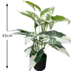 De Gardenia Aglonema X18 – 65 cm Tall Artificial Plant | Lifelike Faux Indoor & Outdoor Décor