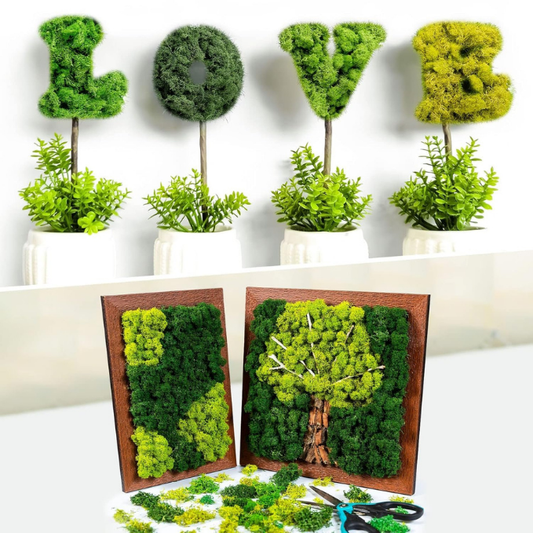 De Gardenia Preserved Reindeer Moss – Multicolored Natural Moss for Crafts, DIY, Home & Office Wall Décor | Pack of 4 Colors | 250g Each Color