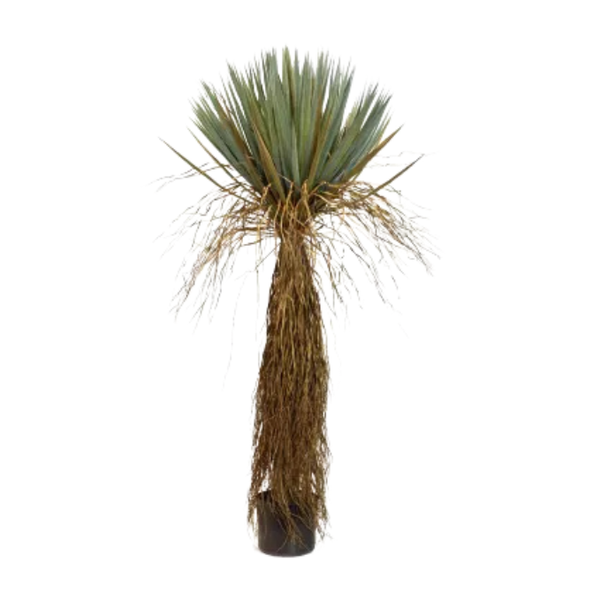 De Gardenia Bastian Cactus – 160 cm Tall Artificial Plant with Pot | Lifelike Faux Indoor & Outdoor Décor