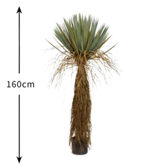 De Gardenia Bastian Cactus – 160 cm Tall Artificial Plant with Pot | Lifelike Faux Indoor & Outdoor Décor