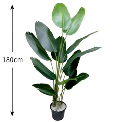 De Gardenia Artificial Traveller Palm – 180CM Tall Faux Palm Tree with 12 Lush Leaves | Without Pot | Decorative Tropical Plant for Home, Office & Events