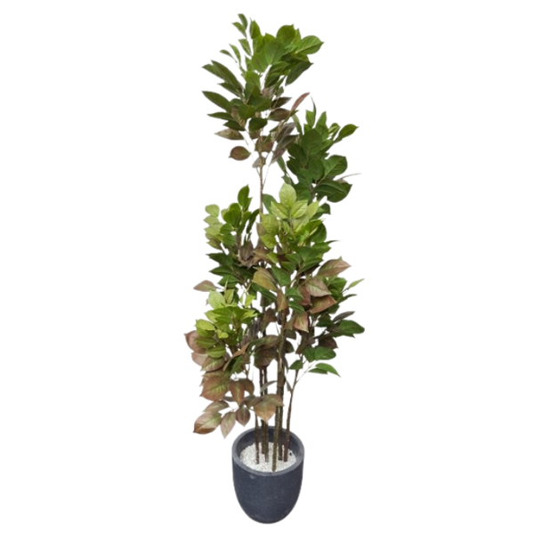 De Gardenia Artificial Red Machira Plant – 180CM Tall Faux Tree Without Pot | Bold Decorative Plant for Home, Office & Event Décor
