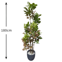 De Gardenia Artificial Red Machira Plant – 180CM Tall Faux Tree Without Pot | Bold Decorative Plant for Home, Office & Event Décor