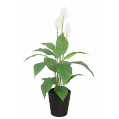 De Gardenia 105CM Artificial Spathe Plant (Orange/Pink/White) – Tall Decorative Faux Flowering Plant for Home, Office & Event Décor