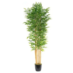 De Gardenia 180cm Semi-Natural Bamboo Plant with Pot – 6ft Real-Trunk Faux Indoor Bamboo Tree for Home, Office & Zen Décor