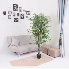De Gardenia Variegated Ficus in Wooden Bark – 180 cm Tall Artificial Plant Without Pot | Lifelike Faux Indoor Greenery
