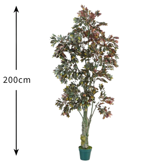 De Gardenia Ficus Red – 200 cm Tall Artificial Plant with Pot | Lifelike Faux Indoor & Outdoor Greenery