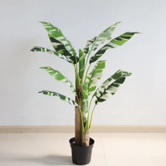 De Gardenia Banana White X3 – 180 cm Tall Artificial Plant Without Pot | Lifelike Faux Tropical Greenery for Home & Office