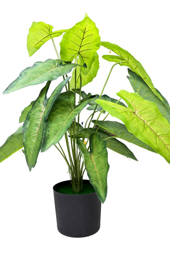 De Gardenia Green Tropicana Fairy Taro Artificial Plant with Pot – Lush Faux Potted Plant for Home, Office & Indoor Décor