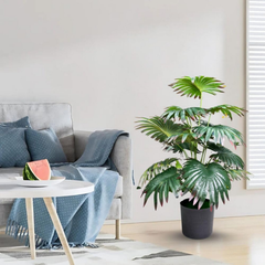 De Gardenia Artificial Licuala Palm Plant with Pot – 2.5 Feet Tall Faux Ruffled Fan Palm for Home & Office Décor | Realistic Tropical Indoor Plant
