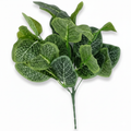  LD Green