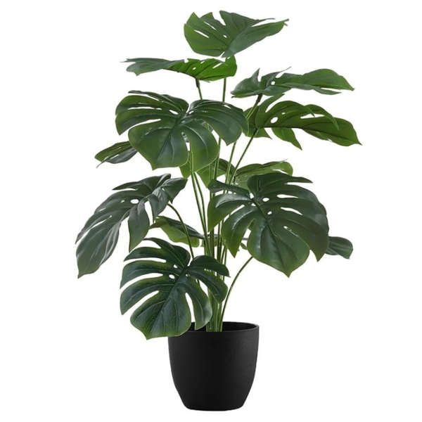 De Gardenia Artificial Money Plant – 55 cm Tall Faux Monstera Palm Leaves | Without Pot | Lifelike Green Decorative Plant for Home & Office Interiors