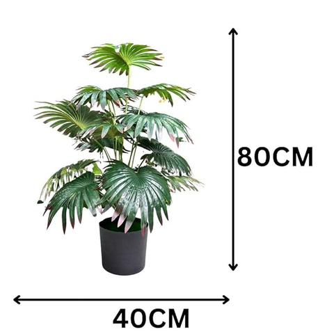 De Gardenia Artificial Licuala Palm Plant with Pot – 2.5 Feet Tall Faux Ruffled Fan Palm for Home & Office Décor | Realistic Tropical Indoor Plant