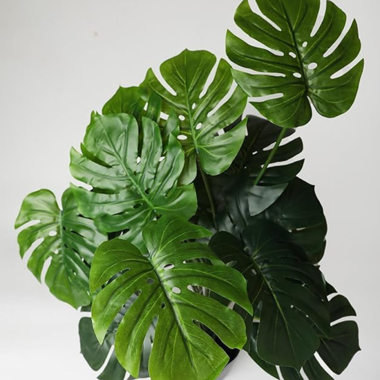 De Gardenia Artificial Money Plant – 55 cm Tall Faux Monstera Palm Leaves | Without Pot | Lifelike Green Decorative Plant for Home & Office Interiors
