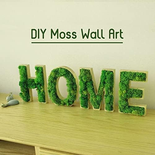 De Gardenia Prefleur Preserved Reindeer Moss – Natural Green DIY Kit | Craft Moss for Gardening, Wedding Decor, Floristry & Wall Art