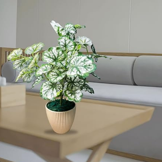 De Gardenia Artificial Money Plant | 18" Tall Realistic Faux Ornamental Tree | Indoor Decorative Green Plant for Home, Shop & Office (Pot Not Included)
