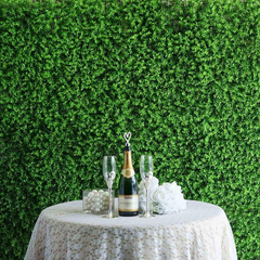 De Gardenia 2 Pieces 24"x16" Artificial Boxwood Panels – Faux Grass Wall Panels for Green Wall Decor, Fence, Garden, Wedding & Backyard Decoration