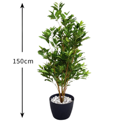 De Gardenia 150CM Artificial Croton White/Gray (Without Pot) – Lifelike Tall Decorative Plant for Home, Office & Indoor Décor