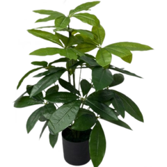 De Gardenia Real Touch Schefflera Plant – 70CM Artificial Greenery Without Pot | Lifelike Faux Tree for Home, Office & Indoor Décor