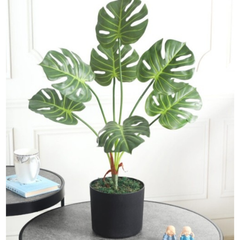De Gardenia Monstera X7 – 60 cm Tall Artificial Plant | Lifelike Faux Indoor & Outdoor Décor Without Pot