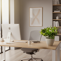 De Gardenia Money Plant PVC Shrubs – 30 cm Tall Artificial Plant | Lifelike Faux Greenery for Home, Office & Décor