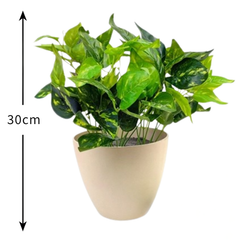 De Gardenia Money Plant PVC Shrubs – 30 cm Tall Artificial Plant | Lifelike Faux Greenery for Home, Office & Décor