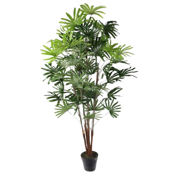 De Gardenia 150CM Artificial Rhapis Palm (Without Pot) – Tall Lifelike Tropical Plant for Home, Office & Indoor Décor