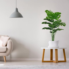 De Gardenia Artificial Money Plant – 55 cm Tall Faux Monstera with White Pot | Lifelike Green Ornamental Plant for Home, Office & Interior Décor