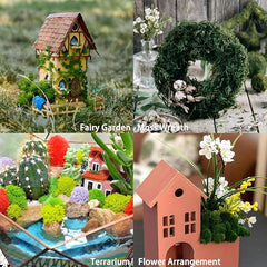 De Gardenia Preserved Reindeer Moss – Deep Green | Natural Moss for Crafts, Terrariums, Wall Art & DIY Decor