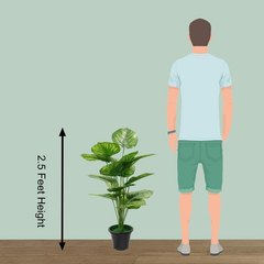 De Gardenia 30-Inch Artificial Philodendron Tropical Caladium Plant with Pot – Dark Green | Faux Decorative Plant for Indoor & Outdoor Home, Office & Commercial Décor (Pack of 1)