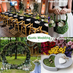 De Gardenia Preserved Reindeer Moss – Deep Green | Natural Moss for Crafts, Terrariums, Wall Art & DIY Decor