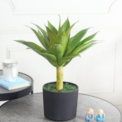 De Gardenia Agave – 50 cm Tall Artificial Plant | Lifelike Faux Succulent Without Pot for Home & Office Décor