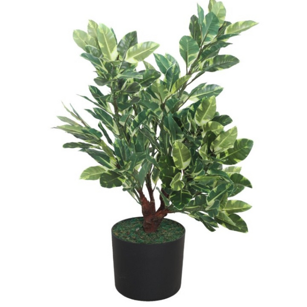 De Gardenia 60CM Artificial Quercus White Plant (Without Pot) – Decorative Faux Oak Leaves for Home, Office & Event Décor
