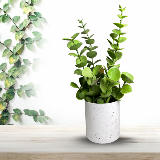 De Gardenia Artificial Rubber Plant – Small Faux Potted Plant for Tabletop, Home, Bathroom & Office Décor | Indoor Decorative Greenery