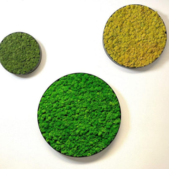 De Gardenia Prefleur Preserved Reindeer Moss – Natural Green DIY Kit | Craft Moss for Gardening, Wedding Decor, Floristry & Wall Art