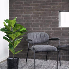 De Gardenia Fiddle X1 – 85 cm Tall Artificial Plant | Lifelike Faux Indoor & Outdoor Décor Without Pot