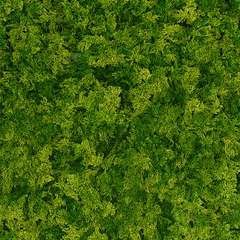 De Gardenia 50x50 cm Artificial Greenery Wall Panel – Lush Faux Vertical Garden Mat for Wall, Balcony & Home Décor