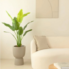 De Gardenia 120CM Artificial Traveller Palm (Without Pot) – Medium-Tall Lifelike Tropical Plant for Home & Office Décor