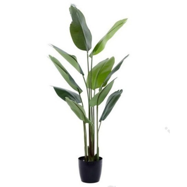 De Gardenia 150cm Artificial Traveller Palm Tree – Tall Faux Indoor Plant Without Pot for Home & Office Décor