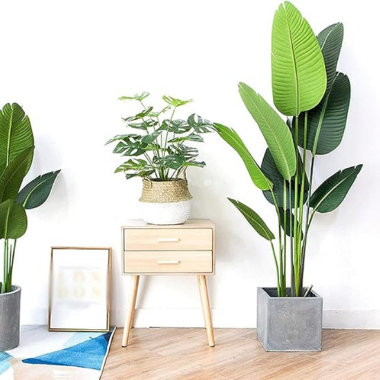 De Gardenia 150cm Artificial Traveller Palm Tree – Tall Faux Indoor Plant Without Pot for Home & Office Décor