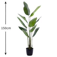 De Gardenia 150cm Artificial Traveller Palm Tree – Tall Faux Indoor Plant Without Pot for Home & Office Décor