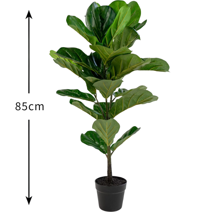 De Gardenia Fiddle X1 – 85 cm Tall Artificial Plant | Lifelike Faux Indoor & Outdoor Décor Without Pot