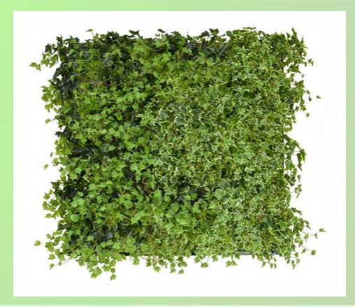 Green Wall SQM Ivy Mix UV